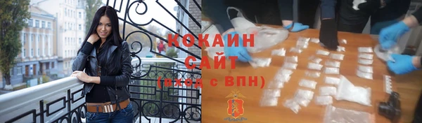 ГАЛЛЮЦИНОГЕННЫЕ ГРИБЫ Грязовец