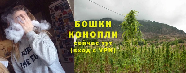 трава Абаза