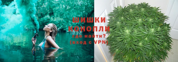 трава Абаза
