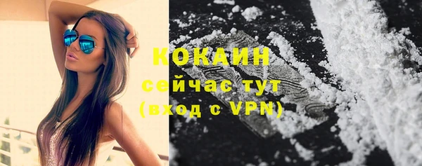 трава Абаза