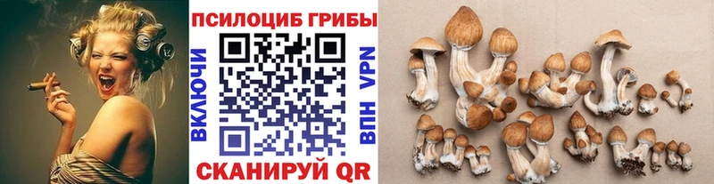 где найти   мориарти клад  Галлюциногенные грибы GOLDEN TEACHER  Отрадный 