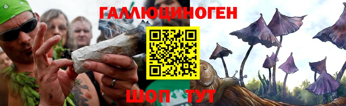 Галлюциногенные грибы MAGIC MUSHROOMS  Галлюциногенные грибы мицелий  Вход с VPN  Отрадный 